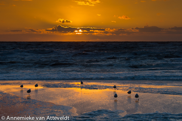 Paal 17 zonsondergang